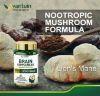 Brain Booster, 60 Capsules Lion's Mane Supplement for Boosting Energy and Memory, Brain Pills for Nootropic Power & Focus & Clarity Support, Vegan Friendly