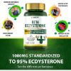 Ecdysterone Supplement 1000mg, 2Pack Natural Anabolic Dietary Supplement - Improve Muscle Mass and Mood Boost, Enhanced Absorption - Total 240 Veg Caps