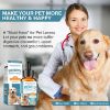 Probiotic for Dogs, Probiotic Drops for Dogs with Digestive Enzymes, Dog Probiotics for Yeast, Itchy Skin and Itchy Ears, Digestive Health Support, Relieve Diarrhea and Indigestion
