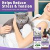 Picture of Pets Mela-tonin for Cats, Cat Calming, Anxiety Relief & Promote Relaxation, 60ml