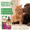 Picture of Pet UTI Treatment Drops, Dog UTI Treatment, Cat UTI Medicine, Renal Health Support for Cats&Dogs, Bladder Control, Prevent Incontinence&Bladder Stone, 60ml